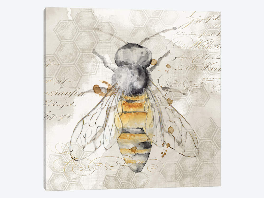 1000x750 Queen Bee Ii Canvas Print By Eva Watts Icanvas - Queen Bee Sketch