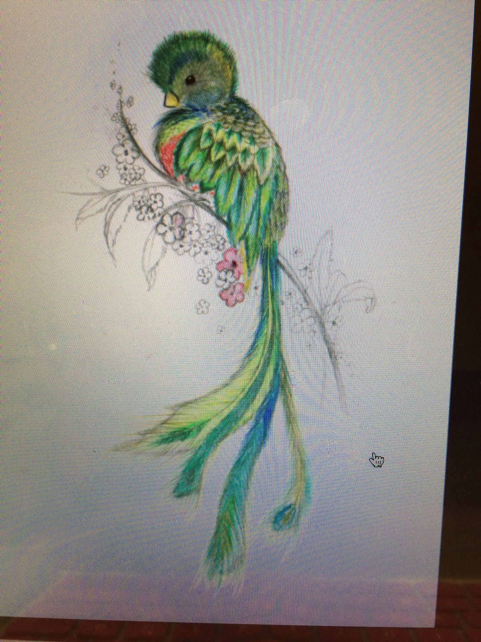 1536x2048 Sketch Of Quetzal. I Would Like To Have A Tattoo Of This Bird - Quetzal Sketch