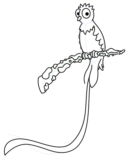 540x700 How To Draw A Quetzal Bird - Quetzal Sketch