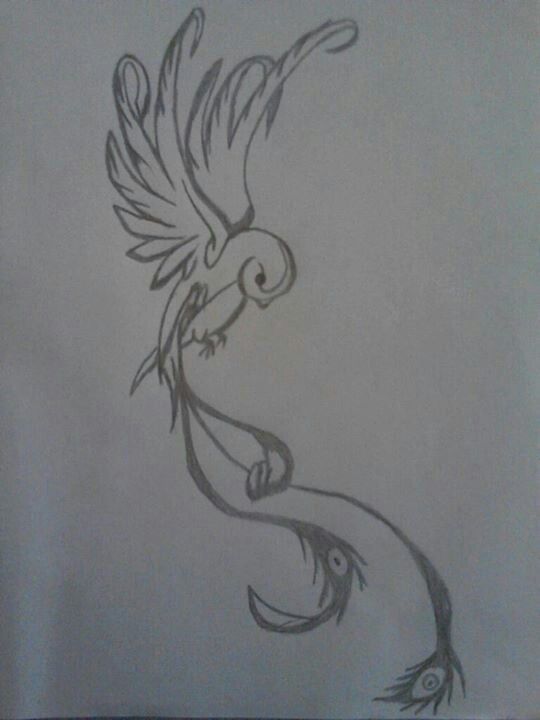 540x720 Image Result For Quetzal Drawing Tattoo Tattoos - Quetzal Sketch