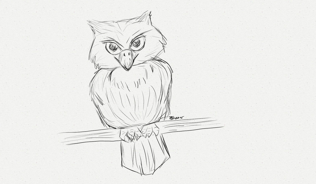 1024x596 Owl Quick Sketch By Rakaeltowers - Quick Sketch