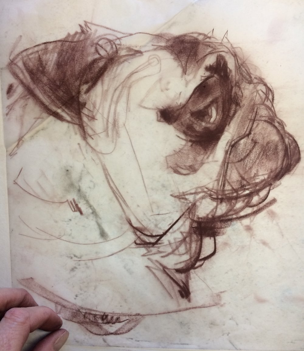 1000x1157 Pug Quick Sketch Thomas Fluharty - Quick Sketch