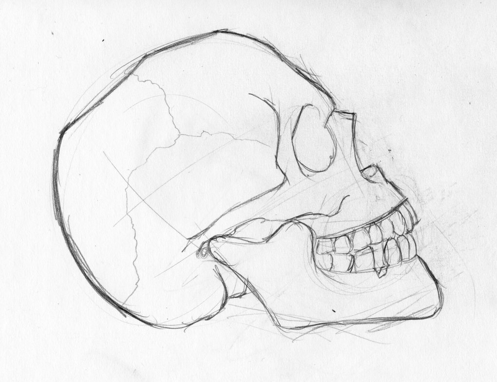 1020x783 Quick Sketch - Quick Sketch