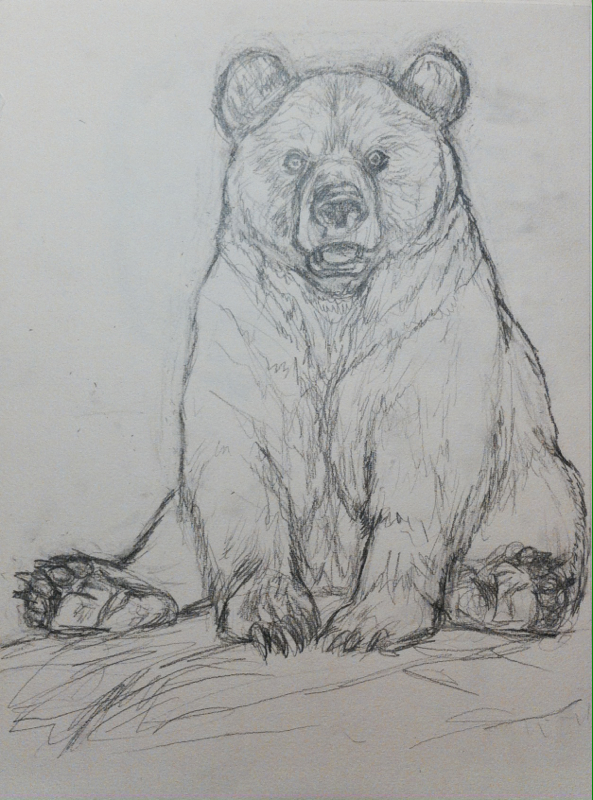 593x800 Quick Sketch After A Zoo Visit - Quick Sketch