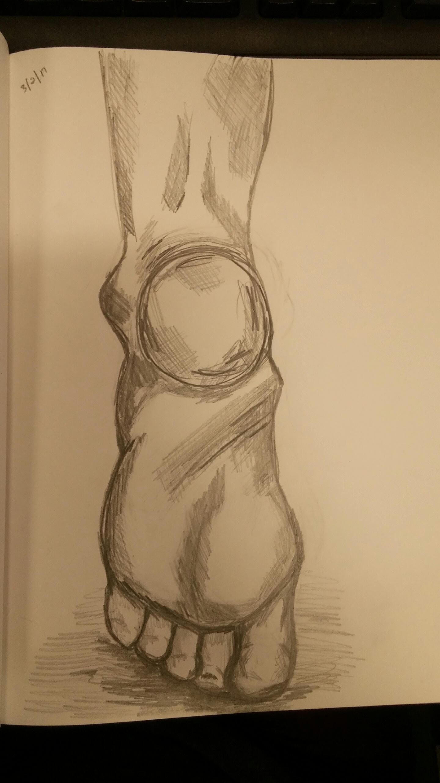 1440x2560 Quick Sketch In New Sketchbook - Quick Sketch Artist