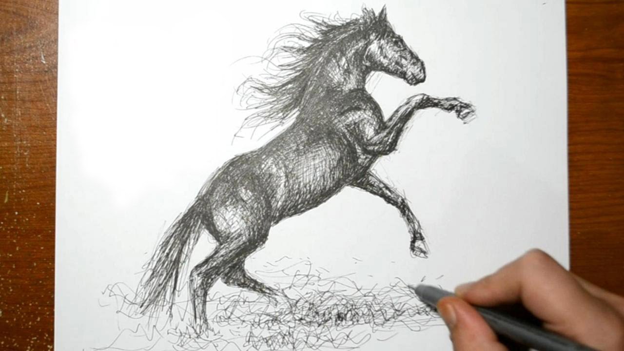 1280x720 Drawing A Horse - Quick Sketch Drawing