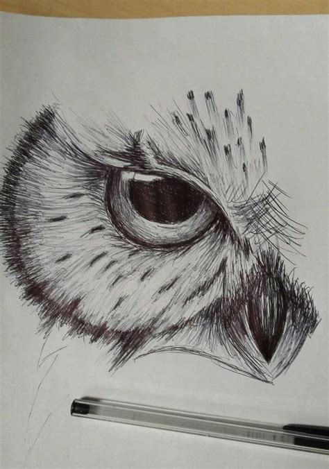 474x676 Owl Drawing Ideas - Quick Sketch Ideas