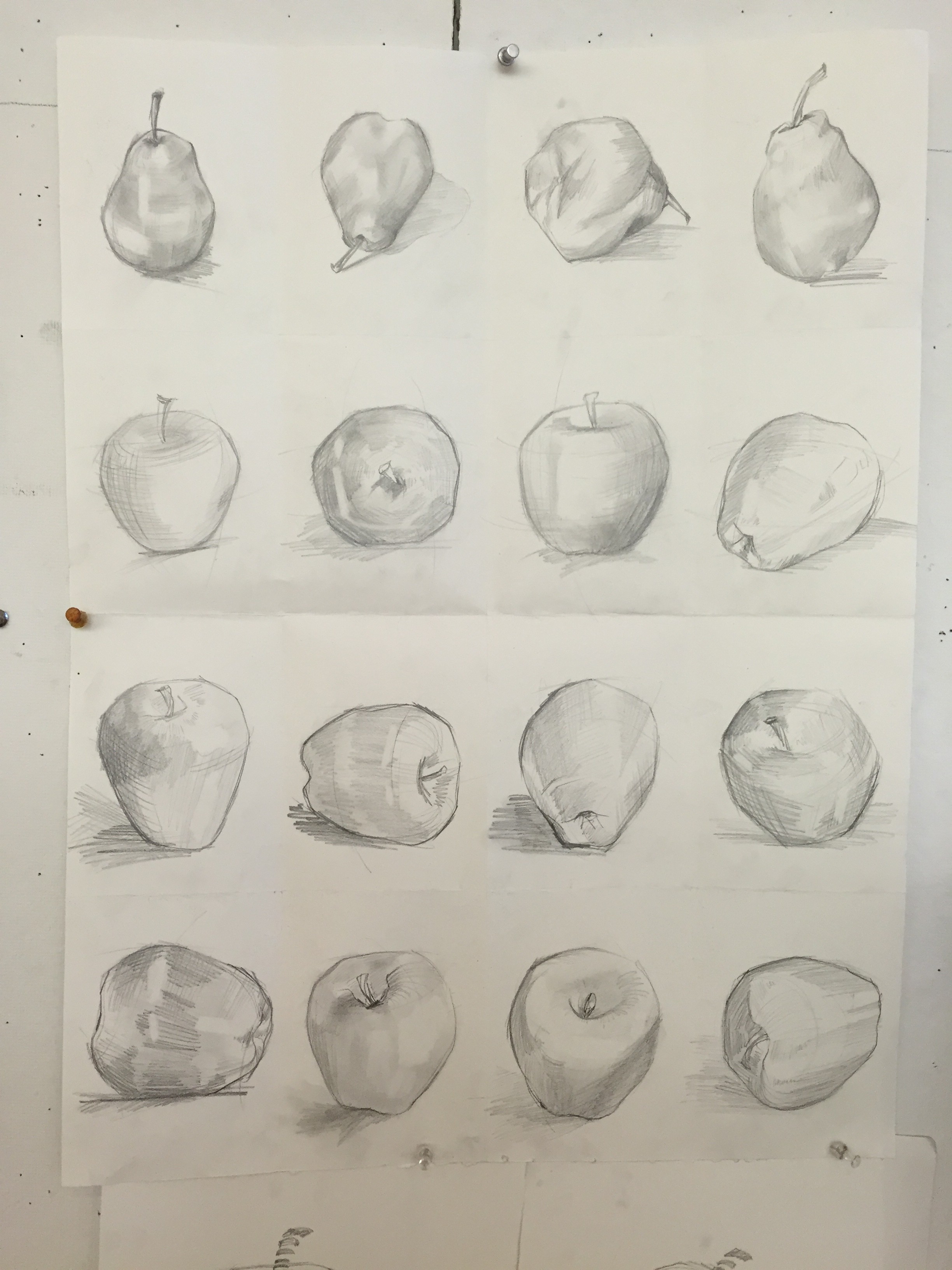2448x3264 Practice Apples Tianna Tang - Quick Sketch Practice