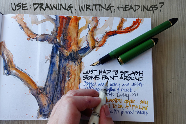 640x427 Fountain Pen Sketching Part 4 Choosing A Fountain Pen - Quill Pen Sketch