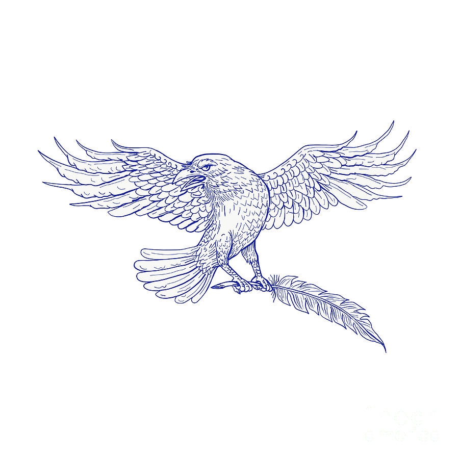 900x900 Raven Carrying Quill Drawing Digital Art By Aloysius Patrimonio - Quill Sketch