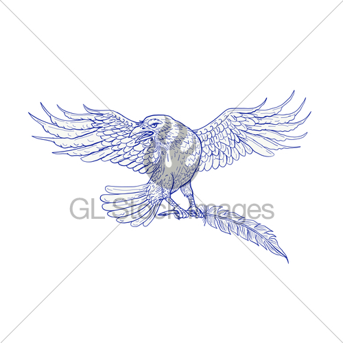 500x500 Raven Carrying Quill Drawing Gl Stock Images - Quill Sketch