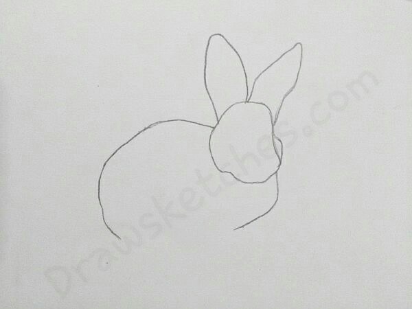 600x450 How To Draw A Rabbit In A Few Easy Steps With Pictures - Rabbit Face Sketch