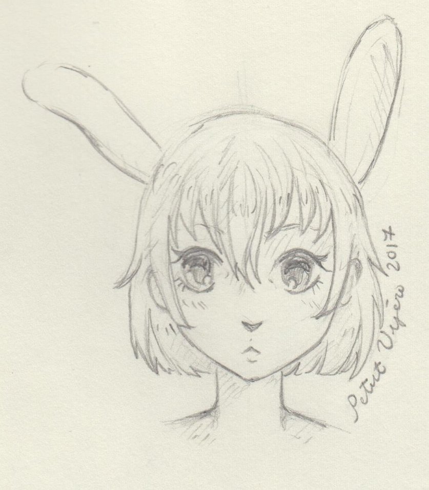 837x955 Rabbit Girl - Rabbit Face Sketch