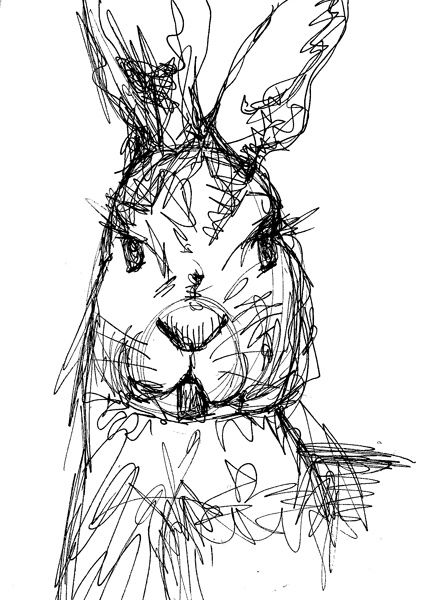 423x600 Rabbit Symbolism Rabbit, Drawings And Sketches - Rabbit Face Sketch