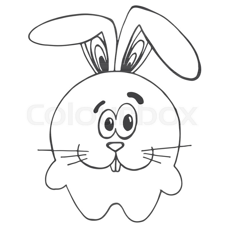 800x800 Cute Cartoon Rabbit, Hare Isolated On White Background. Vector - Rabbit Face Sketch