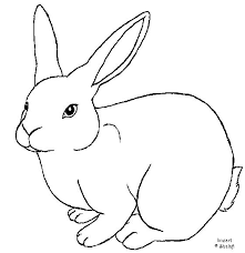 221x228 Image Result For Rabbit Outline Drawing Rabbits - Rabbit Outline Sketch