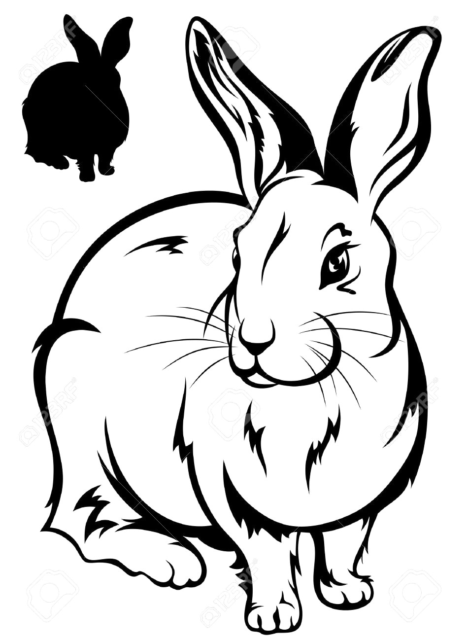 Download Rabbit Outline Sketch at PaintingValley.com | Explore ...