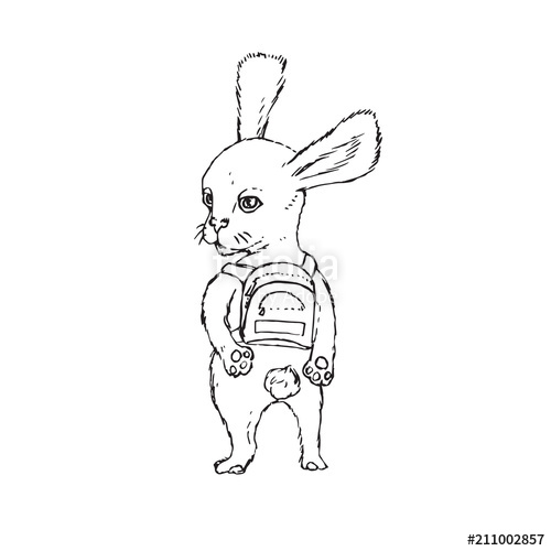 Rabbit Outline Sketch at PaintingValley.com | Explore collection of ...