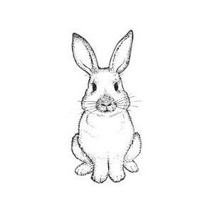 300x300 Bunnies, Hares, And Rabbits - Rabbit Outline Sketch