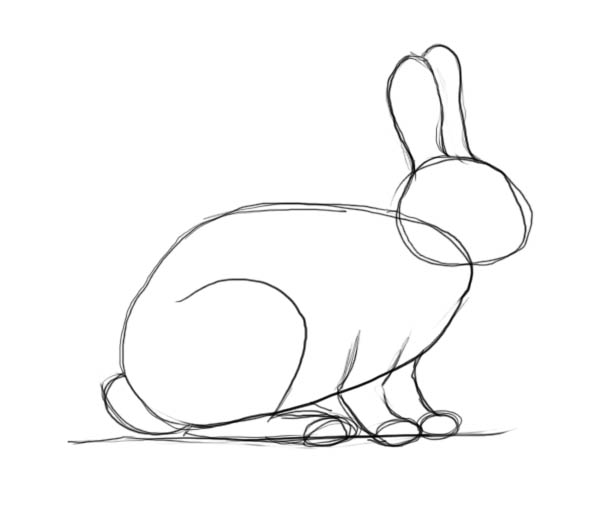 600x523 How To Draw A Rabbit - Rabbit Sketch