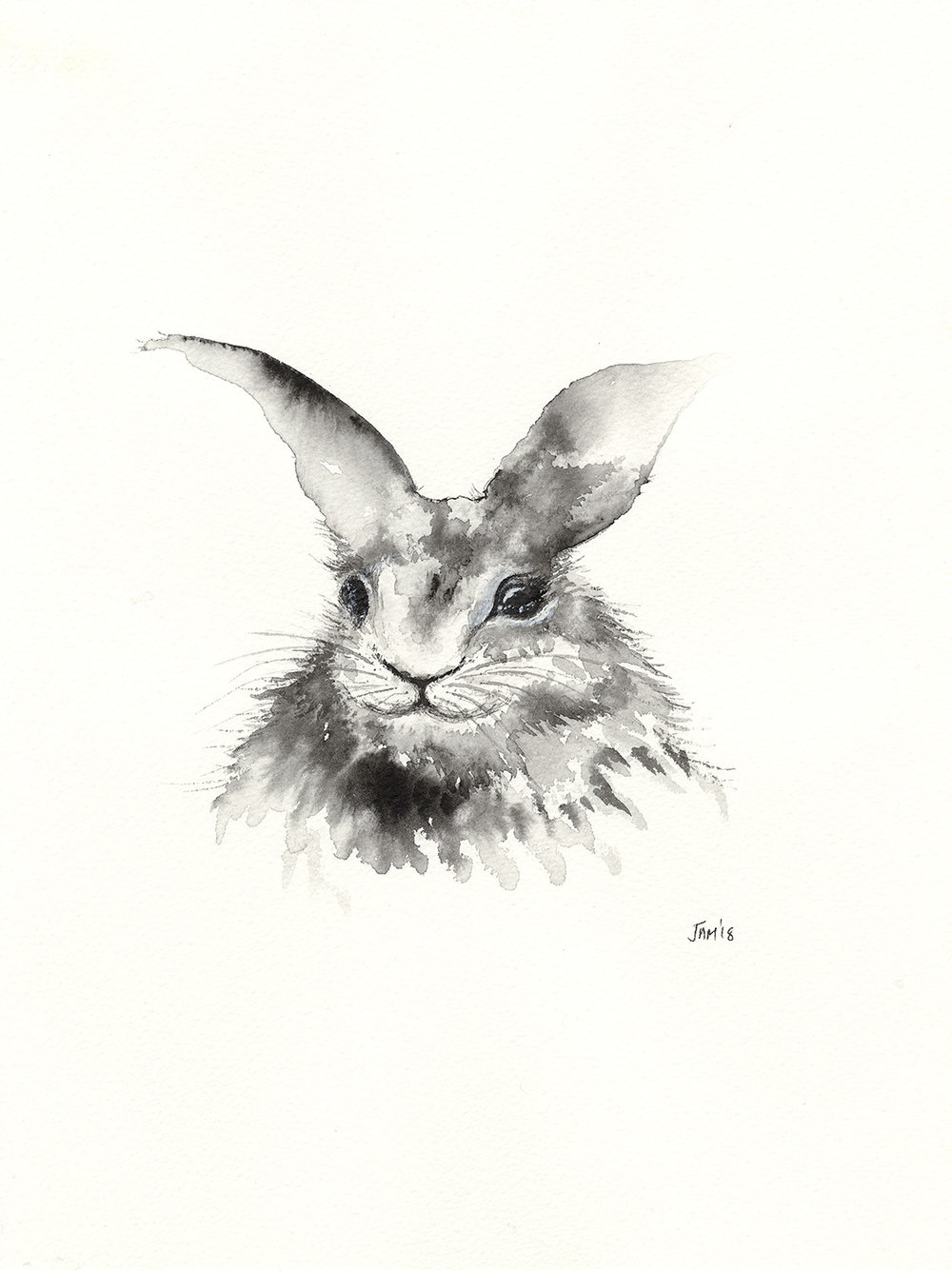 1000x1335 Rabbit - Rabbit Sketch