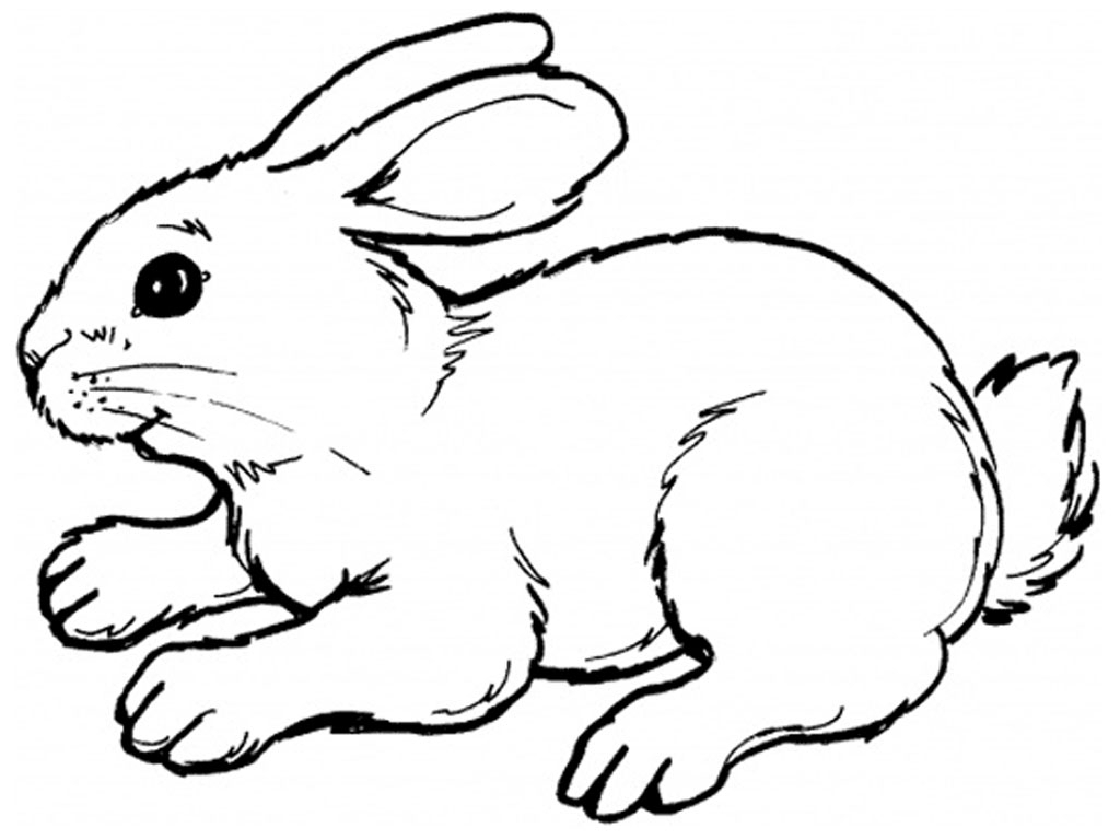1024x768 Clipart Rabbit Sketch - Rabbit Sketch