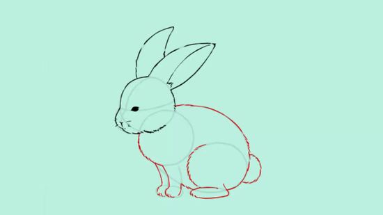 550x309 How To Draw A Bunny 13 Steps (With Pictures) - Rabbit Sketch Images