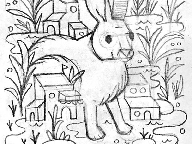800x600 Swamp Rabbit Sketch By Aren Vandenburgh - Rabbit Sketch Images