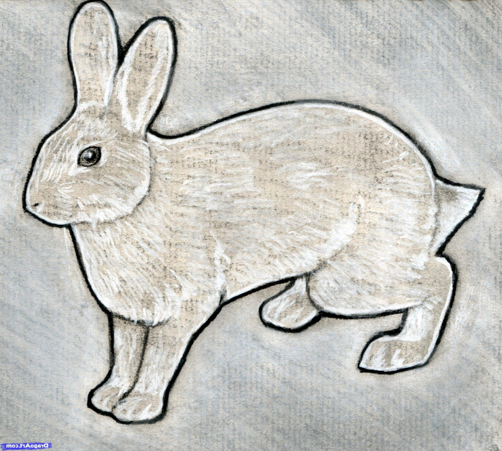 1024x920 Rabbit Sketch In Pencil Rabbit Pencil Drawing Best Photos Of Bunny - Rabbit Sketch In Pencil