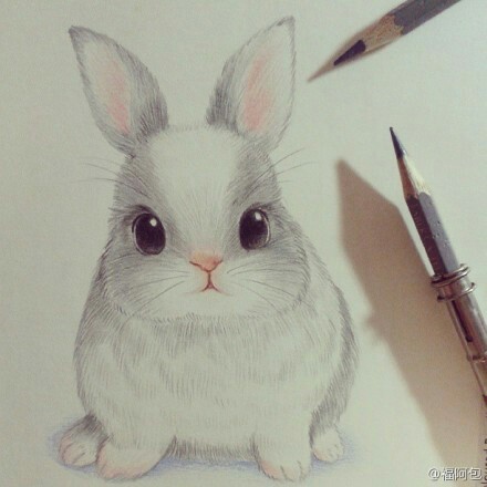 440x440 Drawn Bunny Pencil - Rabbit Sketch In Pencil