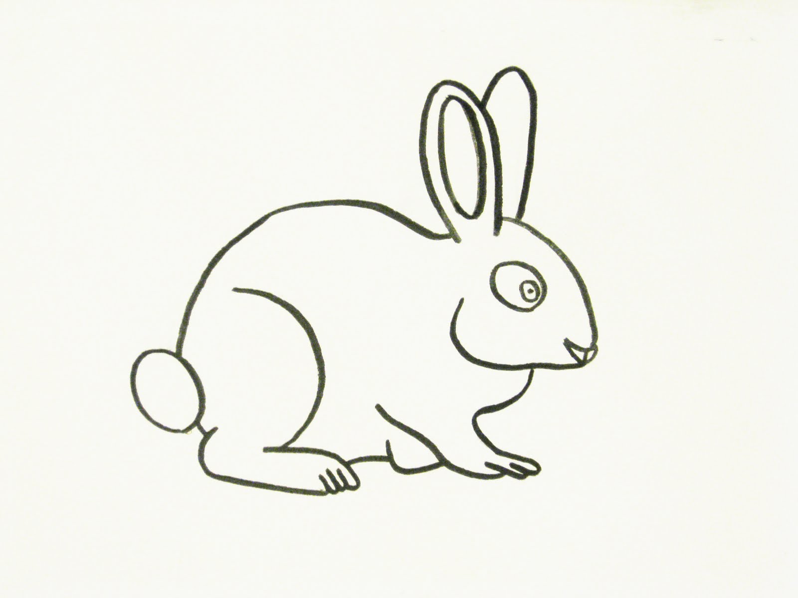 1600x1200 Gallery 91 Inc. Rabbit Sketch - Rabbit Sketch Picture