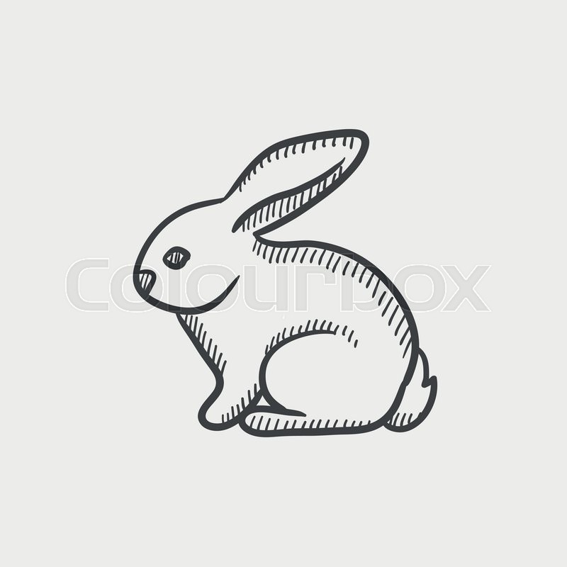 800x800 Rabbit Sketch Icon Set For Web, Mobile And Infographics. Hand - Rabbit Sketch Picture
