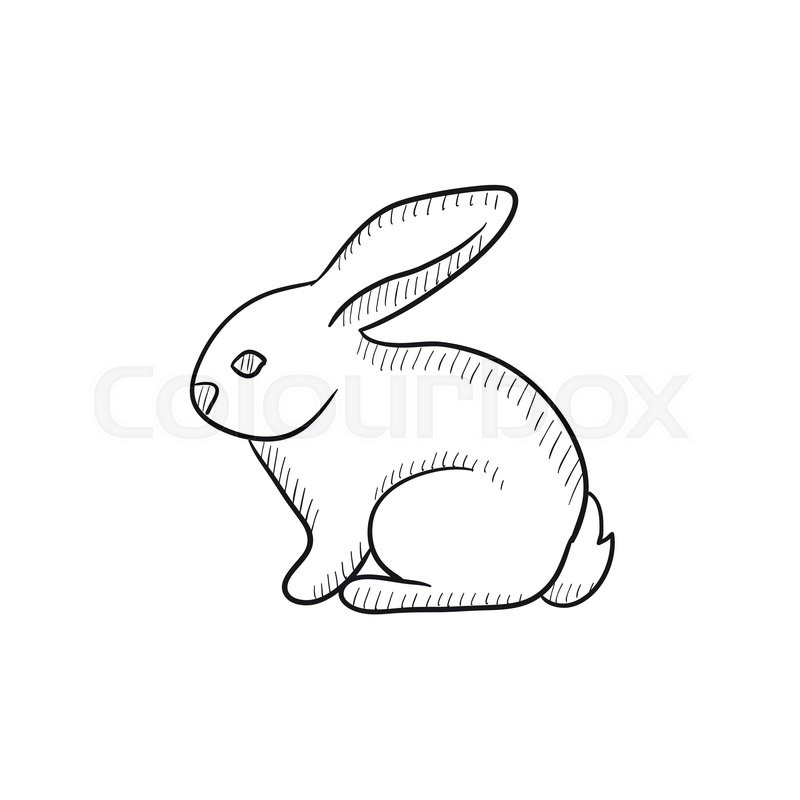 800x800 Rabbit Vector Sketch Icon Isolated On Background. Hand Drawn - Rabbit Sketch Picture
