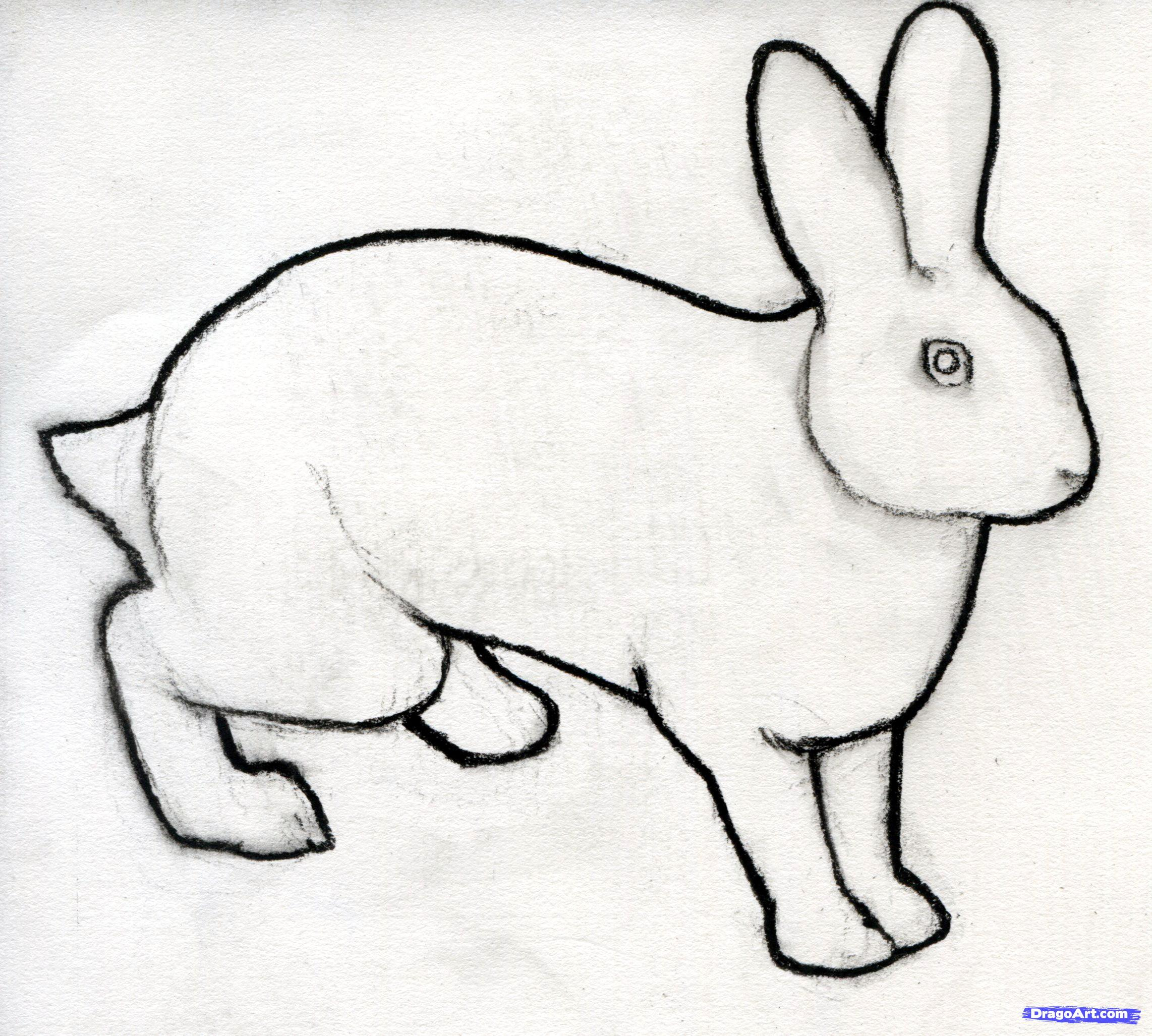 2284x2054 Bunny Rabbit Drawings Drawing Artsy - Rabbit Sketch Picture