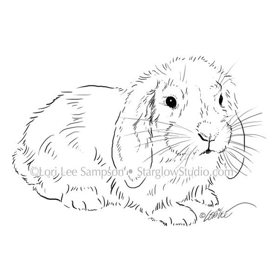 570x570 Digital Download Bunny Rabbit Sketch Digital Stamp Rabbit Etsy - Rabbit Sketch Picture