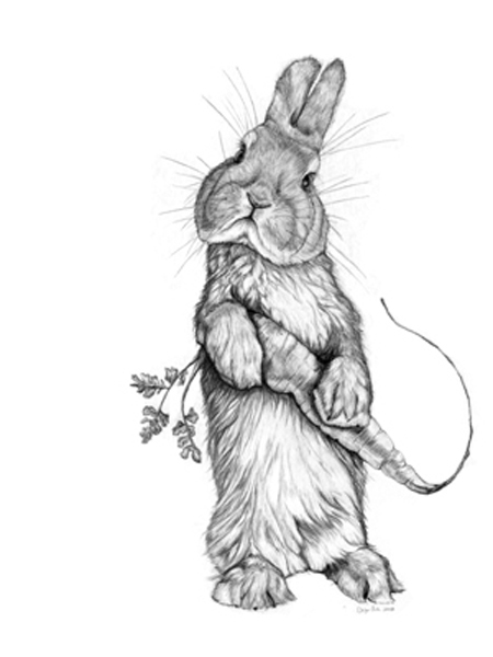 450x600 Easter Rabbit Sketch On Behance - Rabbit Sketch Picture