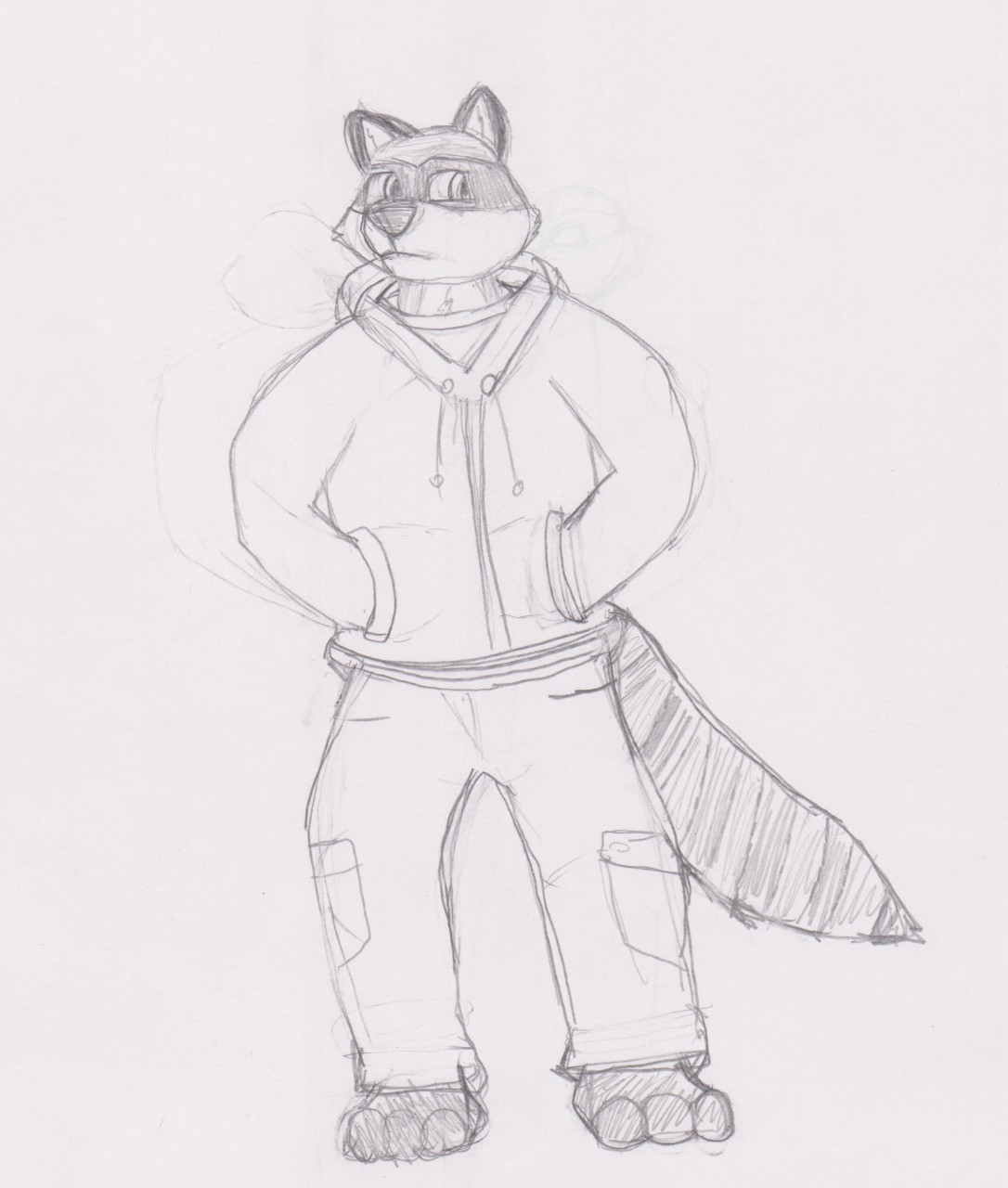 1086x1280 Raccoon (Sketch) By Proxyfox - Raccoon Sketch