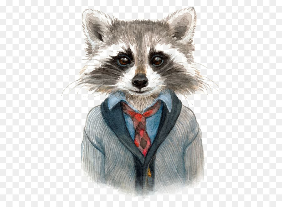 900x660 Raccoon Drawing Art Painting Illustration - Raccoon Sketch