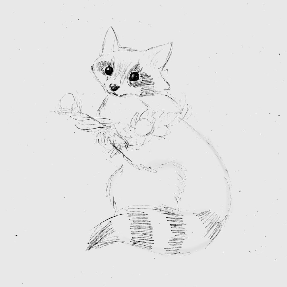 1000x1000 Raccoon [Sketch] By Julia Vysotskaya (Hochulia), From The Series - Raccoon Sketch