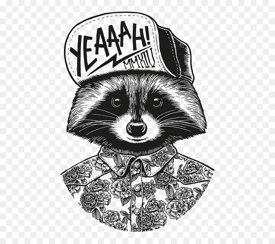 900x800 Studio Drawing Graphic Design Illustration - Raccoon Sketch