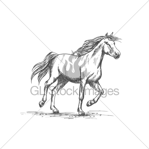 500x500 Horse Sketch With Running Racehorse Gl Stock Images - Race Horse Sketches