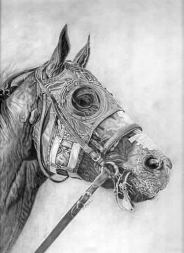 375x516 Race Horse Drawings For Sale Saatchi Art - Race Horse Sketches