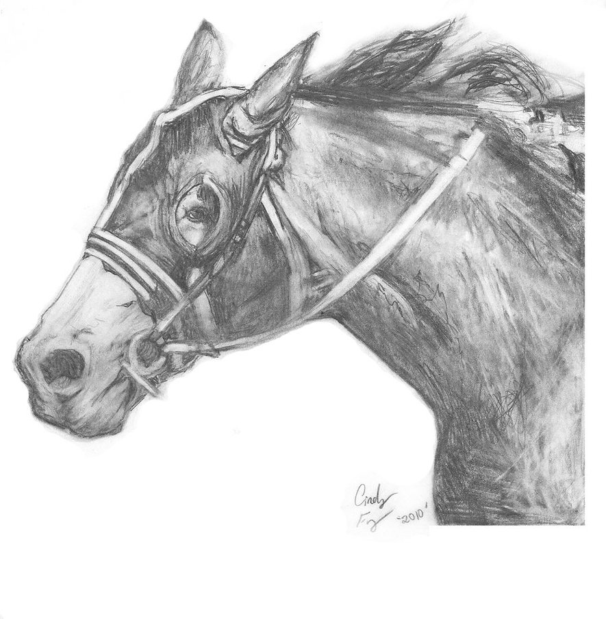 885x903 Race Horse By Lost Nomad07 - Race Horse Sketches