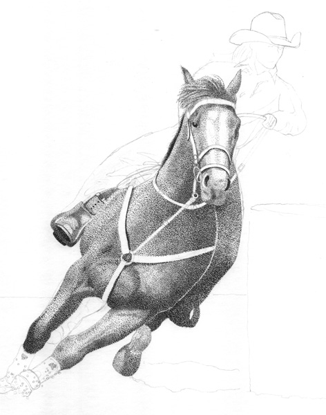 472x600 Barrel Racing Horse Wip [Archive] - Race Horse Sketches