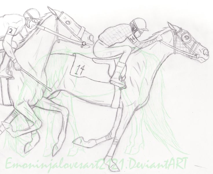 736x602 Drawn Horse Horse Racing - Race Sketch