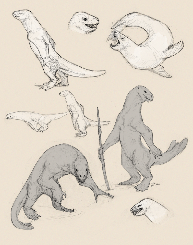 788x1000 Seal Race Sketches By Goosechimera - Race Sketch