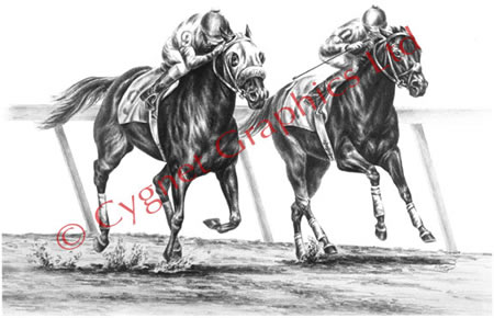 450x290 Collection Of Horse Racing Drawing High Quality, Free - Racehorse Sketch