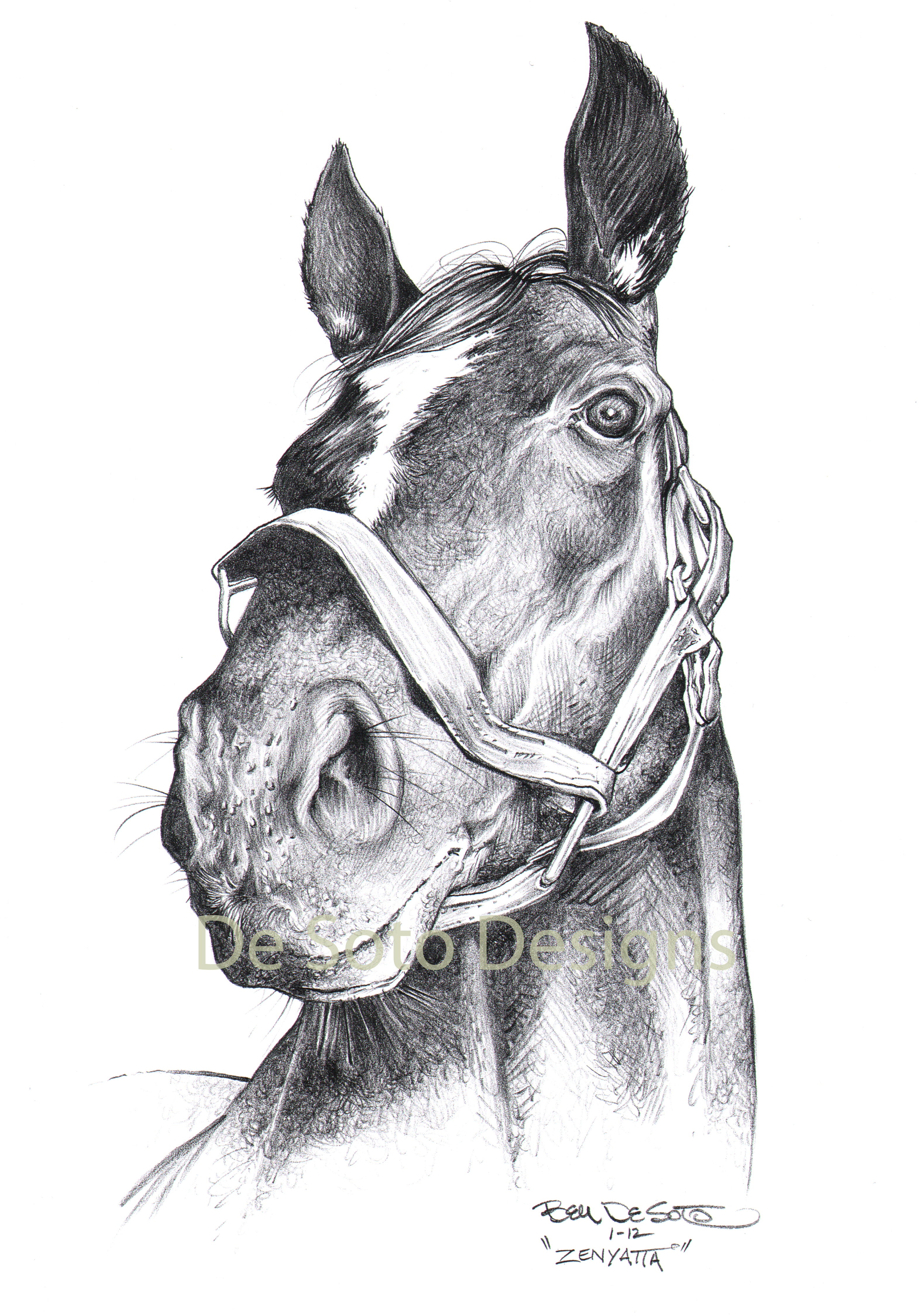 3151x4500 Race Horse Drawing Images Pencil Drawing Of Race Horse Zenyatta - Racehorse Sketch