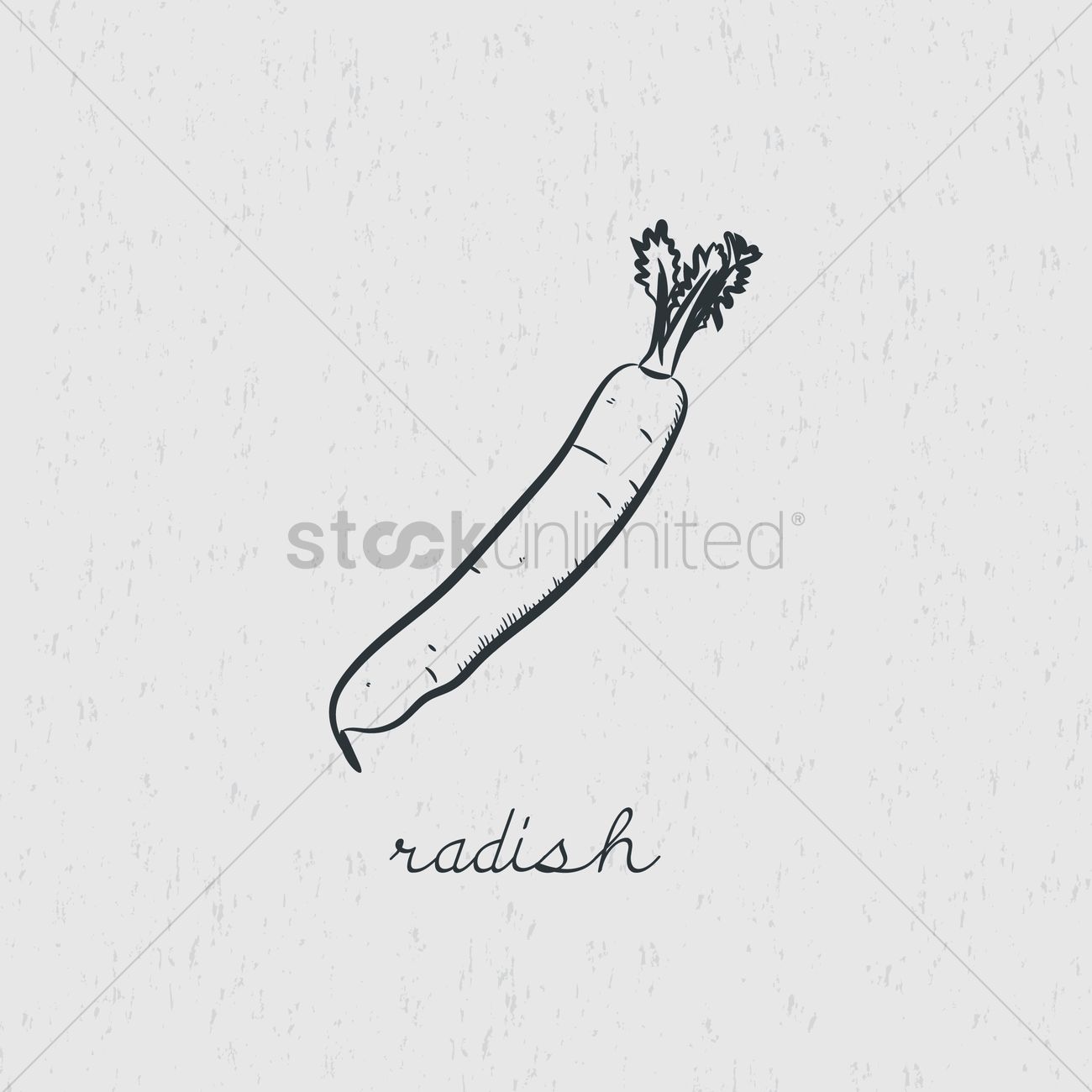 1300x1300 Radish Vector Image - Radish Sketch