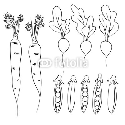 400x400 Vector Contour Carrot Radish Peas Beans Vegetable O White - Radish Sketch